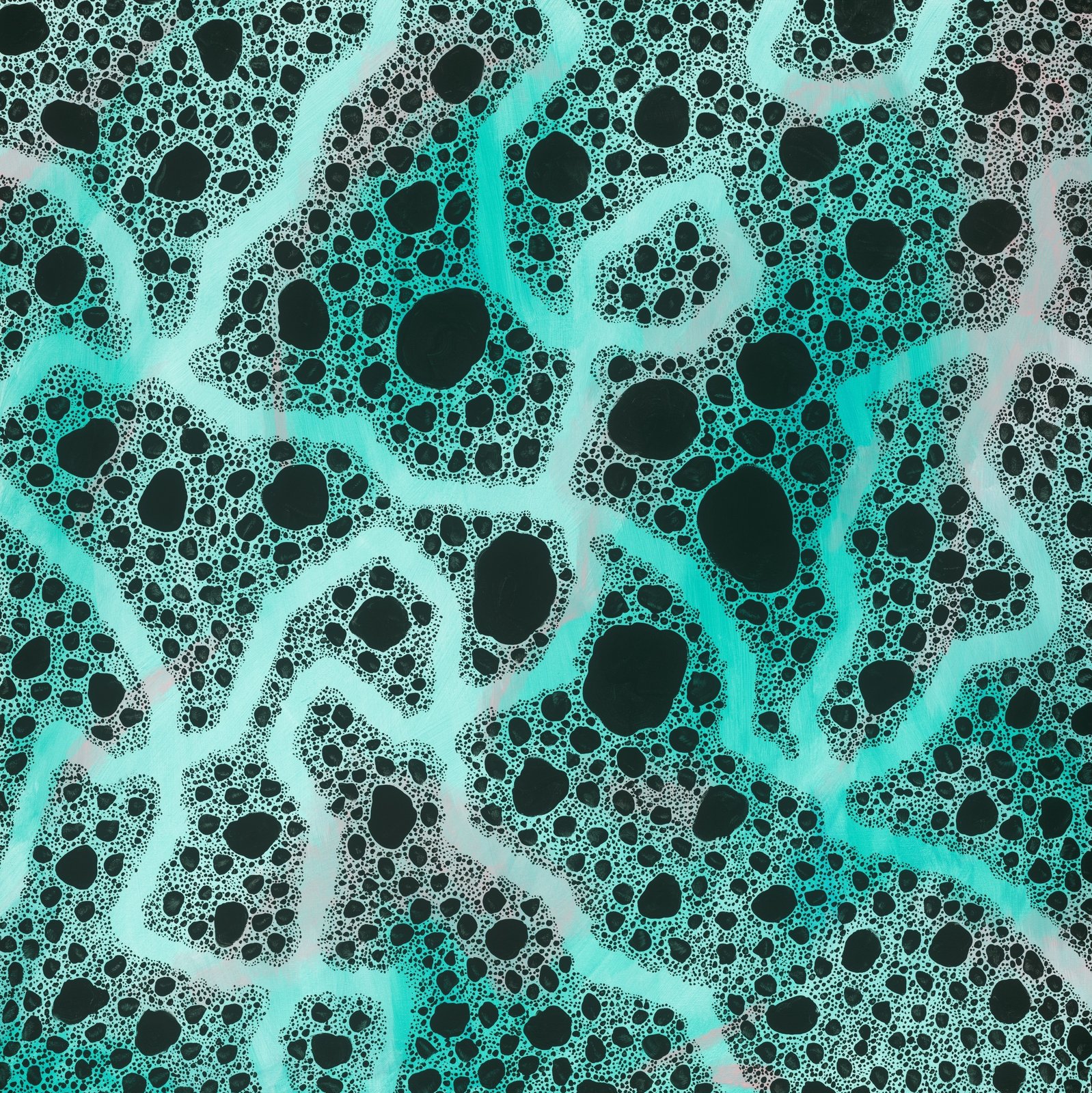 Zoorb